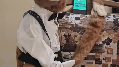 What's app University funny video