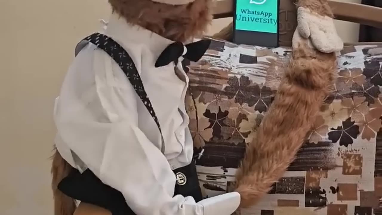 What's app University funny video