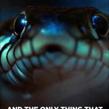 The Simulation is real "MATRIX"