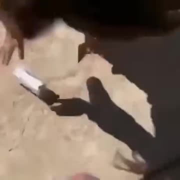 Close Calls: Hold My Beer