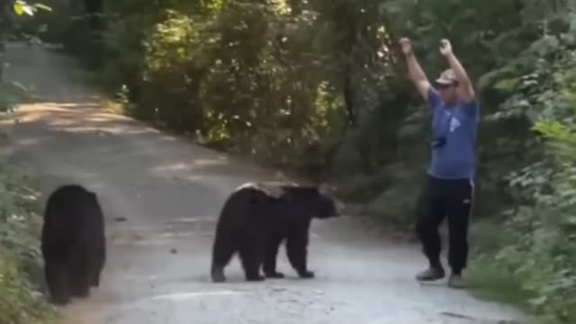 Good intelligence saved him from the bears