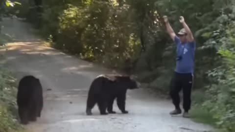 Good intelligence saved him from the bears