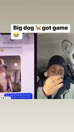 News Break: This is hilarious