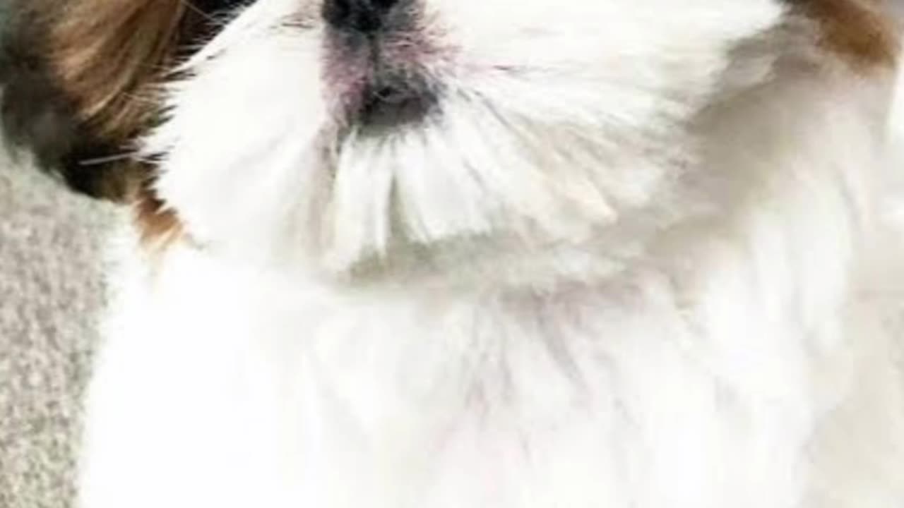 My name is jerry