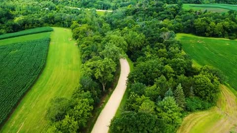 Relaxing Music | Sleeping, Meditation, Stress Relief | [1525] ⭐️