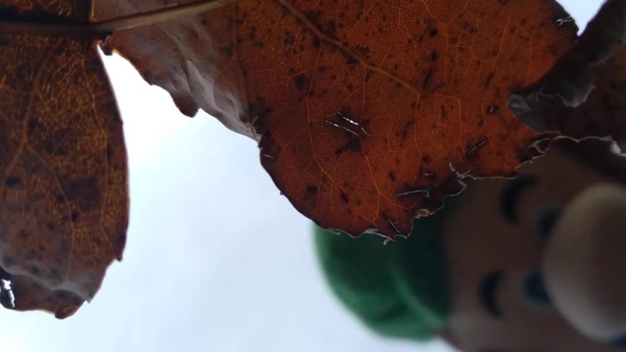 HHM Short: Luigi Playing With The Leaves (ASMR)
