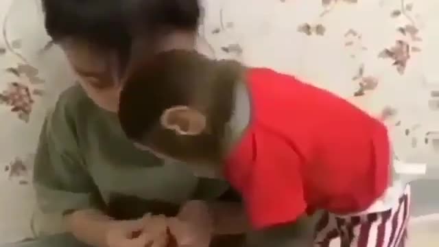 Strange and funny behavior of animals 4q