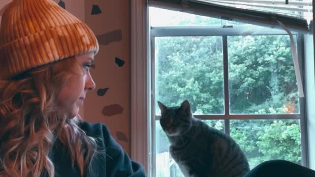 Cat Bonks Head on Window Sill