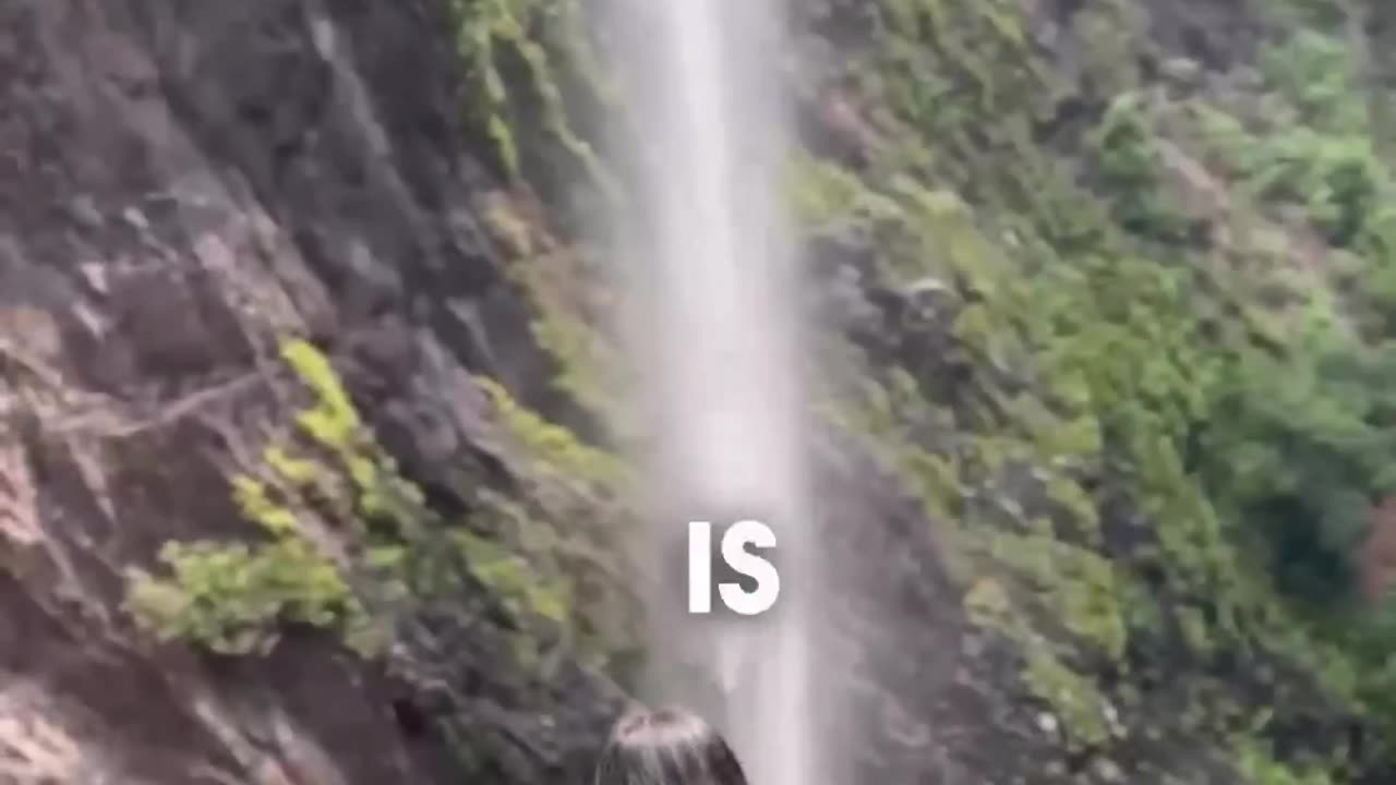 Some of the Best Waterfalls in India!