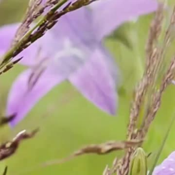 Take a Break: Discover How Relaxing This is! Volume 65v1