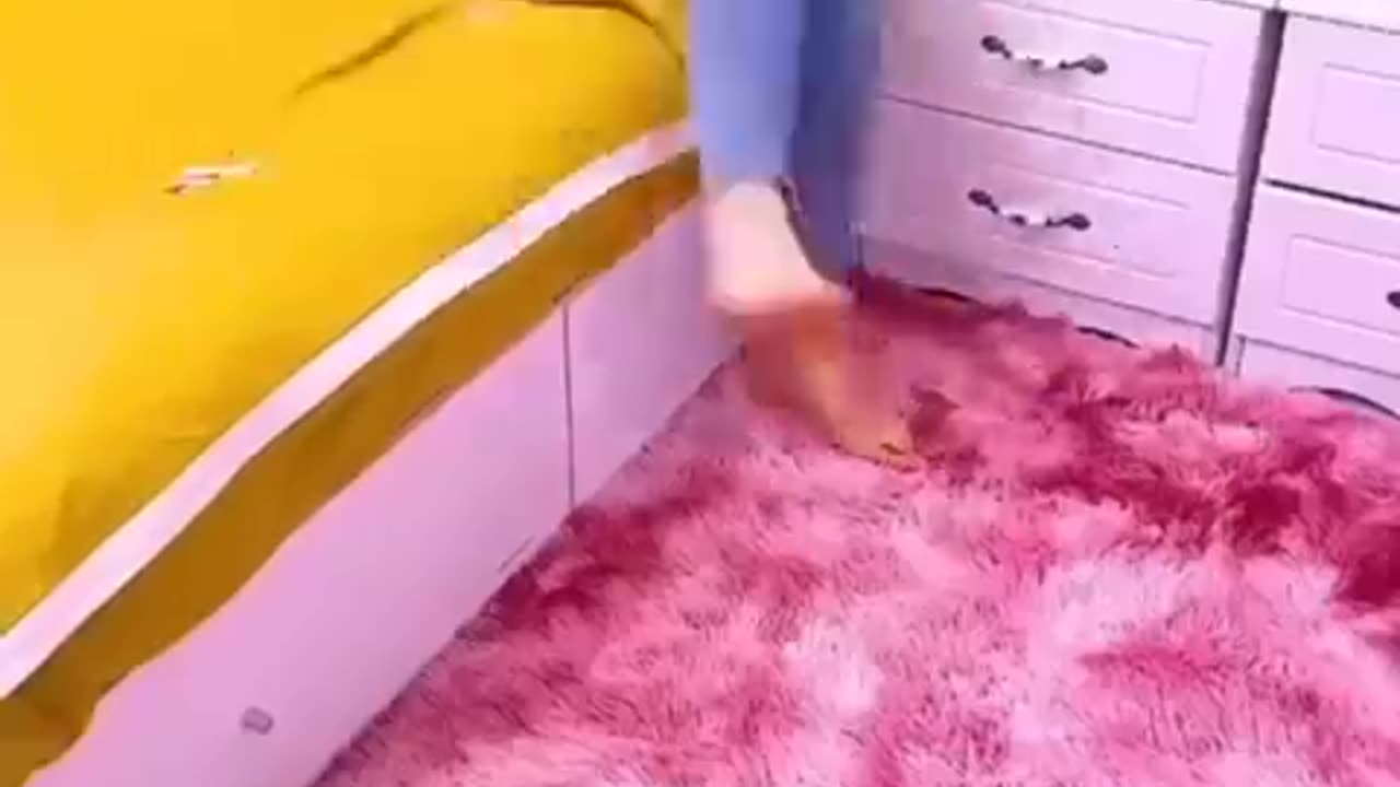 Amazingfact video