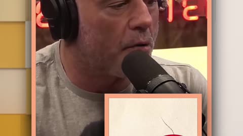 Joe Rogan Accuses Biden of Escalating Conflict in Ukraine