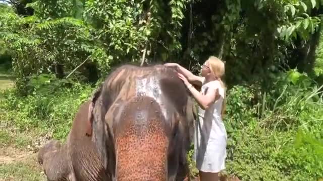 Pattaya Elephant Sanctuary - Part 2, Thailand, June 2022