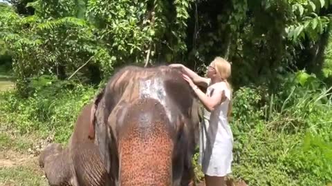 Pattaya Elephant Sanctuary - Part 2, Thailand, June 2022