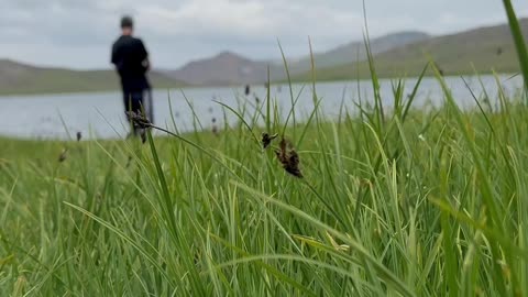 Highest plateau in the world Deosai plains