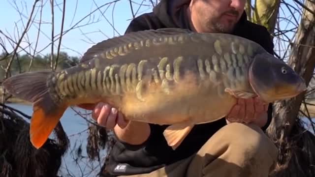 Chris Catching a Scaly Mirror