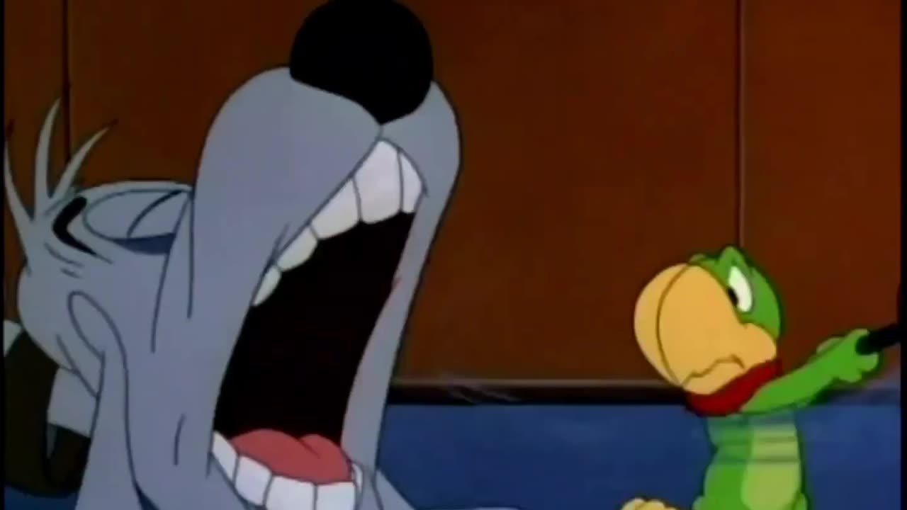 Columbia Pictures Cartoons - 1949x01 - The Coo-Coo Bird Dog