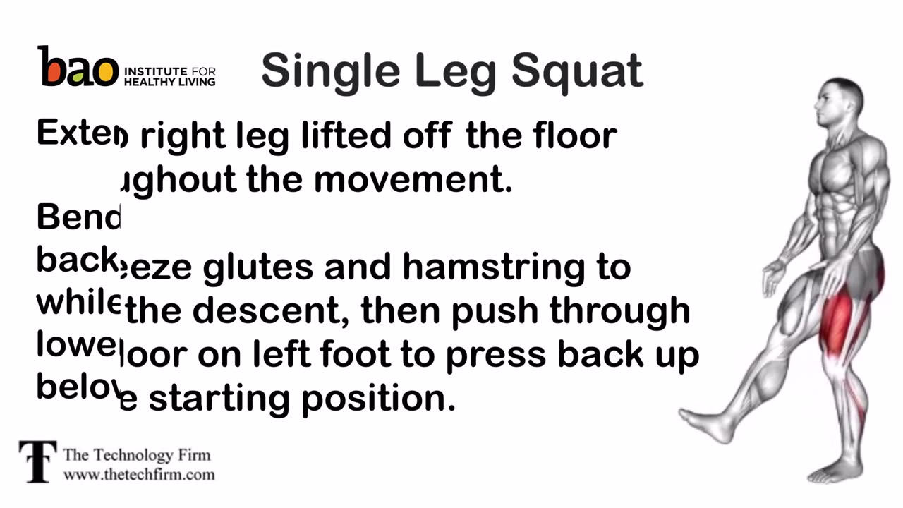 single leg squat