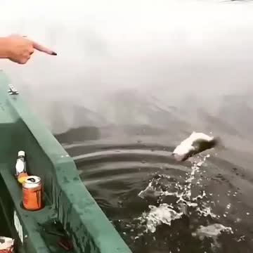 the fish thanks the girl who releases it! 🤗