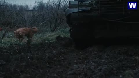 Russian dogs of war