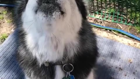 aw00
