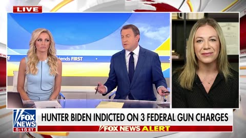 Hunter Biden's attorneys blames 'MAGA crazies' for indictment