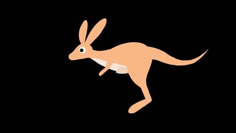 kangaroo mg animal animation in simple and flat style