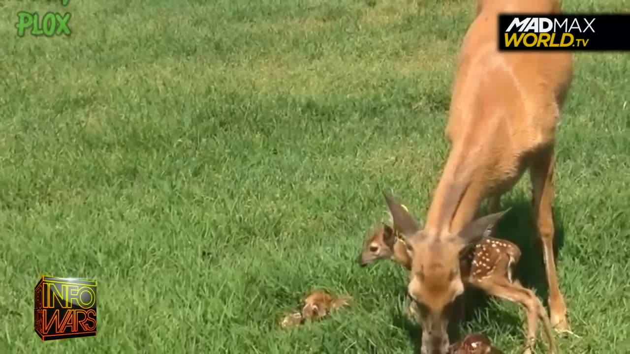 INSANE🤪LIBERAL🤬TREND👀Babies👶Are Assaulting😡Their Mothers👩By Not Seeking Consent🤬😡🤬