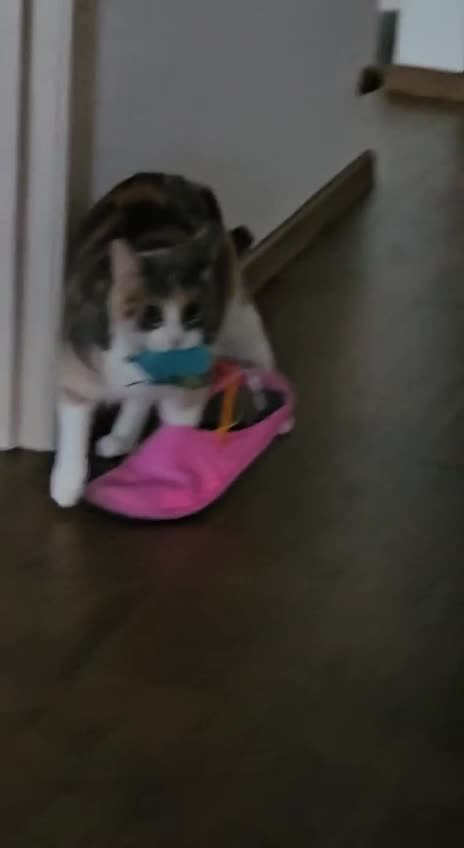 Misbehave. Got in trouble. Now help me 😂😂