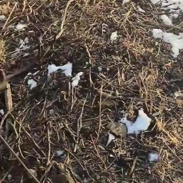 🇬🇧 Ukrainian BM-27 Hurricane 220mm multiple rocket launcher