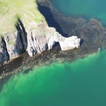 Cape of the soaring turtle