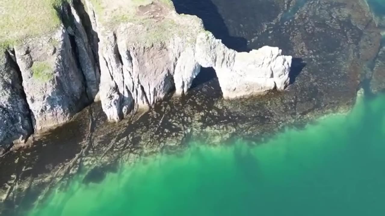 Cape of the soaring turtle