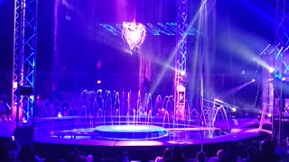 Circus