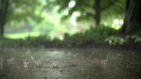 Slow MotionRain Stock Footage Royalty Free