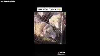 Come Guys! Come on. Come on.