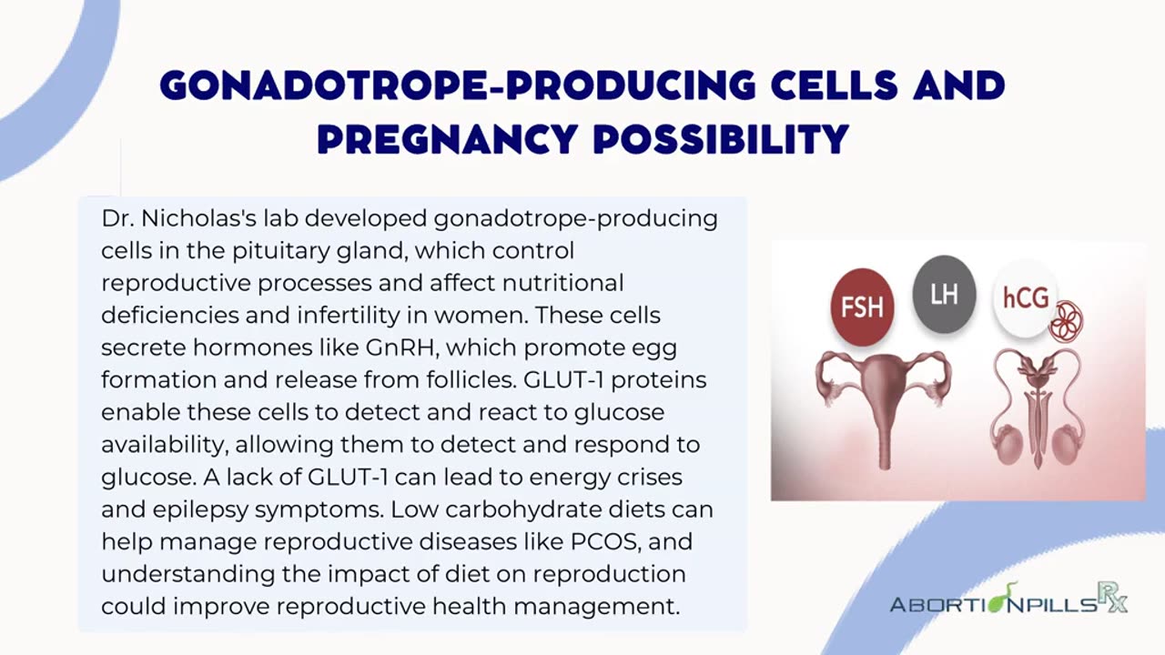 How Can Diet Influence Women’s Reproductive Health?