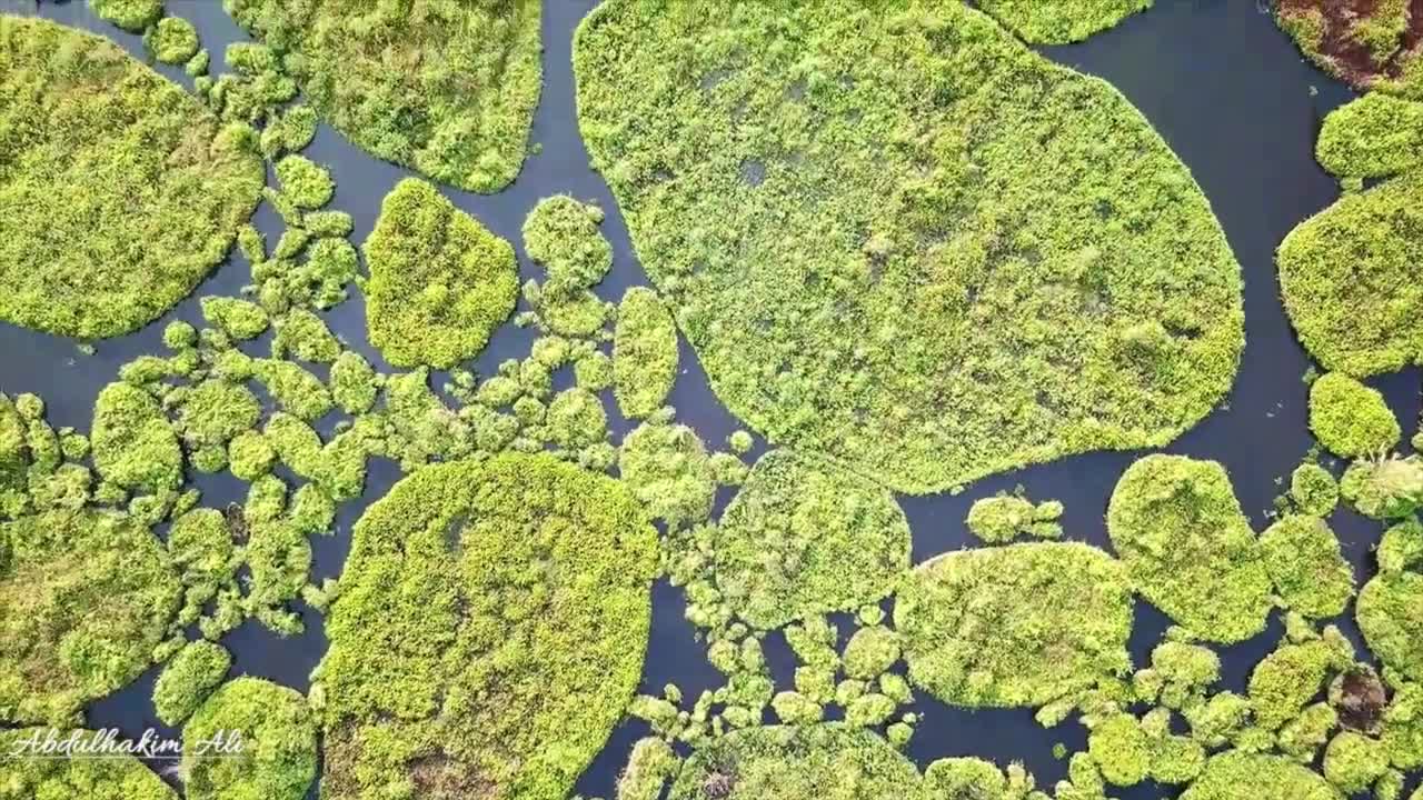 Relaxing Music | Sleeping, Meditation, Stress Relief | [750] ⭐️