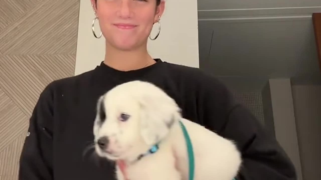 Baby Doggo Slayin