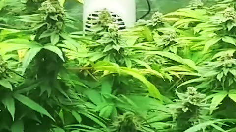 Stacking up nicely