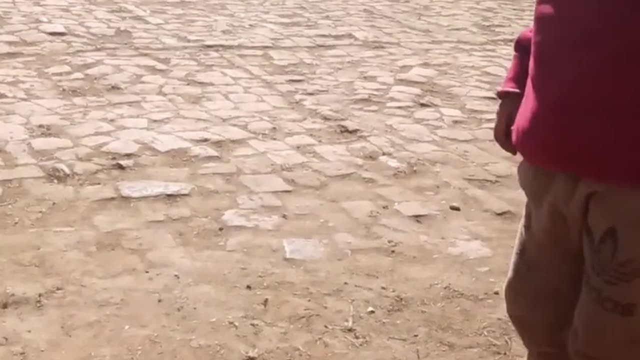 Its time for boys to fun with ball