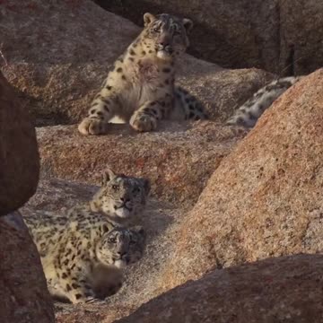 Get ready for the Camera guys 🤣🤣