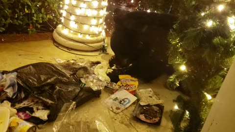 Beary Christmas