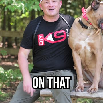 Use Code MD2024 To Get 20% off ANY of Our Dog Training Courses