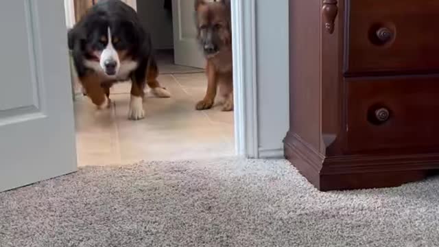 Help is on the way dear!
