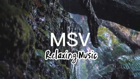 Relaxing Music | Sleeping, Meditation, Stress Relief | [7395] ⭐️