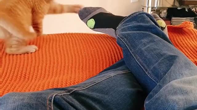 2 years in 30 seconds ??#cat #kitten