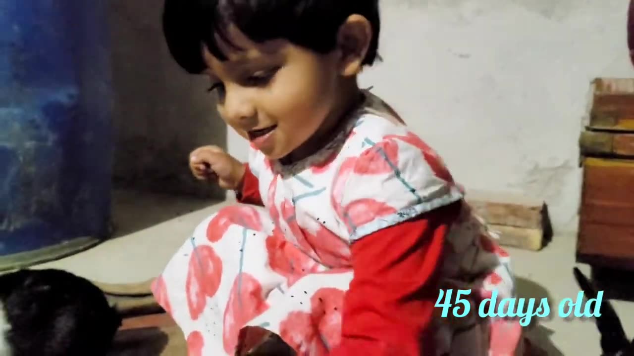 Funny and Cute Baby Bunny Rabbit Videos 🐇Baby Animal video compilation