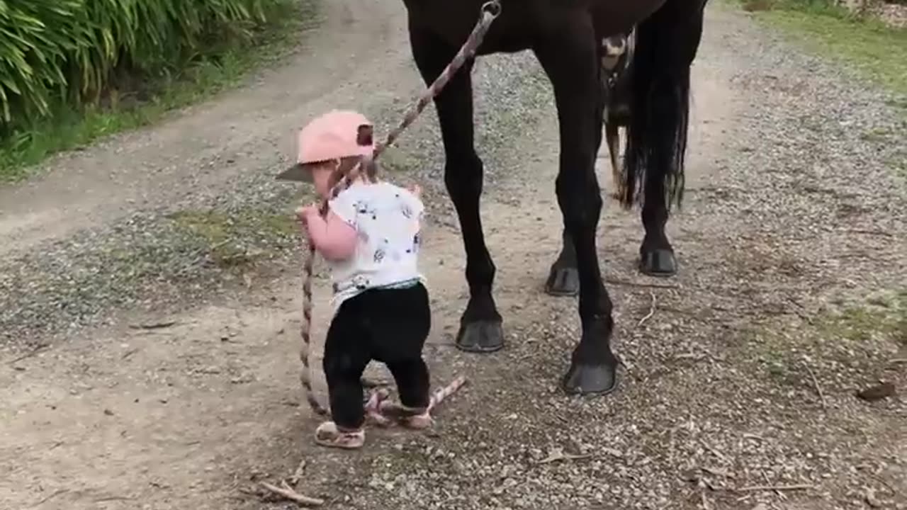 Little Girl Leads Horse