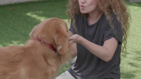 Outdoor playing with dog viral video