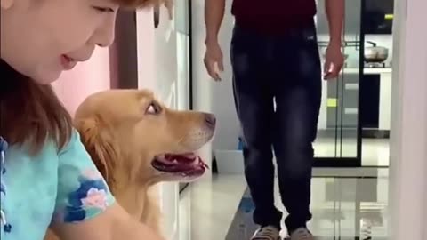 This pup knows the value of a good deed, and is always ready to lend a paw! 🐶💰🙌